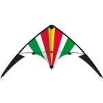 Sportski upravljački zmaj Günther Flugspiele Raspon 1000 mm ATT.FX.WIND_FORCE_SUITABILITY 4 - 6 bft