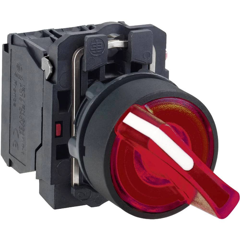 Prekidač za odabir Schneider Electric XB5AK124G5 1 ST slika