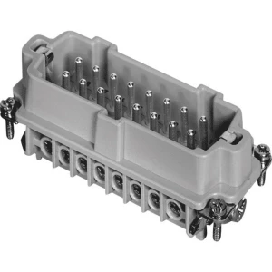 Amphenol C146 10A016 002 1-1 muški umetak heavy|mate® c146 Ukupan broj polova 16 + PE 1 St. slika