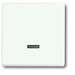 Busch-Jaeger 6543-884-101 ulazni modul   bez bijela, prometno-bijela 1 St. slika