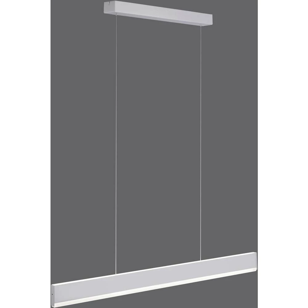 LED viseća svjetiljka 40 W Toplo-bijela, Neutralno-bijela, Dnevno svjetlo-bijela Paul Neuhaus ARINA 8363-55 Plemeniti čelik slika