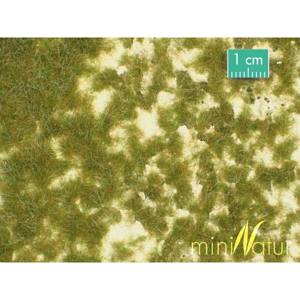 Podloge za teren Kraška livada (D x Š) 315 mm x 250 mm Mininatur 719-23 S slika
