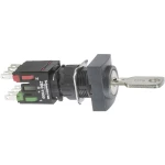 Prekidač s ključem Schneider Electric XB6DGC5B 1 ST