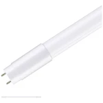 Paulmann LED cijev Energetska učinkovitost 2021: F (A - G) G13 T8 11 W neutralna bijela (Ø x V) 27 mm x 604