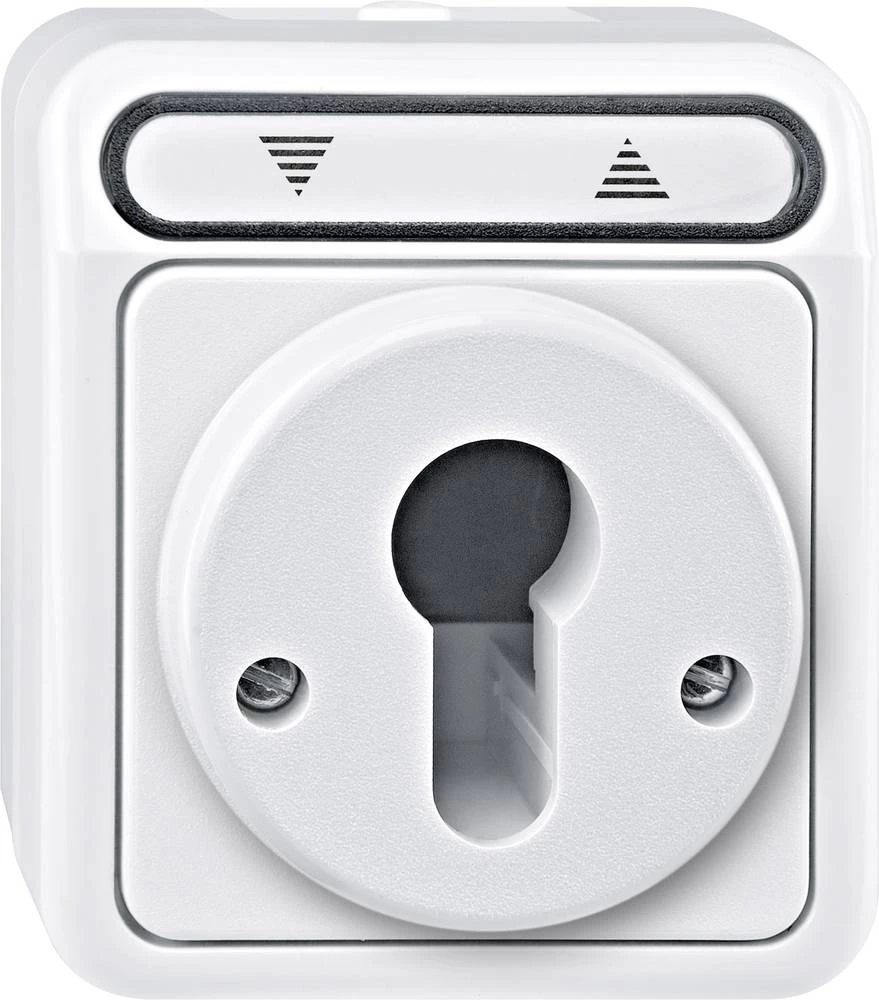 Merten 1 komad Potpuni Tipkalo za rolete Polarno bijela 4075010 slika