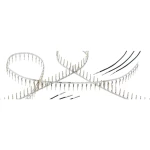 Muški kontakt Harting 09670007138 1 ST