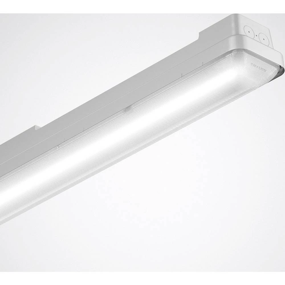 Trilux AragF 12 P #7421151 LED svjetiljka za vlažne prostorije  LED  35 W bijela siva slika