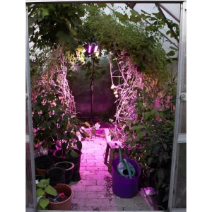 Venso LED svjetlo za rast biljaka  65 cm 230 V LED fiksno ugrađena 60 W  RGBw   1 St. slika