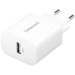 Intenso W5A USB punjač 5 W unutrašnje područje Izlazna struja maks. 1 A USB-A Broj izlaza: 1 x