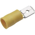 Cimco 180294 plosnati utikač Širina utikača: 6.3 mm Debljina utikača: 0.8 mm 180 ° izolirani dio žuta 1 St. slika