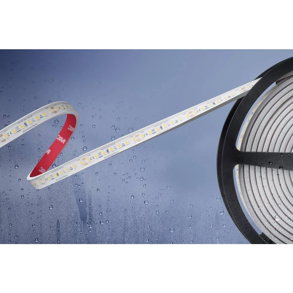 Barthelme Basic 51540534 51540534 led traka s otvorenim krajem kabela 24 V/DC slika