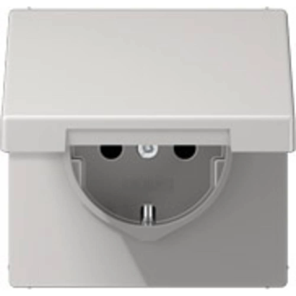 Jung 1-struki Umetak Utičnica s poklopcem sa šarkama Siva LS1520KLLG slika