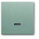 Busch-Jaeger 6543-83-101 ulazni modul   bez aluminij boja, bijeli aluminij (RAL 9006) 1 St.