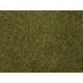 Lišće Divlja trava NOCH 07282 Maslinasto-zelena slika