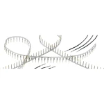Muški kontakt Harting 09670008168 1 ST