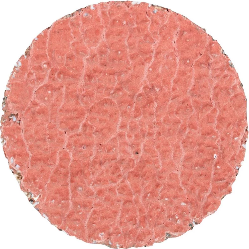 PFERD    CDR 38 CO-COOL 24    42776402    brusni list        Granulacija 24        (Ø) 38 mm    100 St. slika