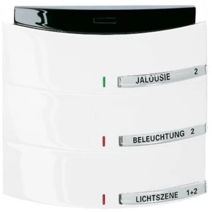 Busch-Jaeger 6320/30-24G ulazni modul    bijela, prometno-bijela 1 St. slika