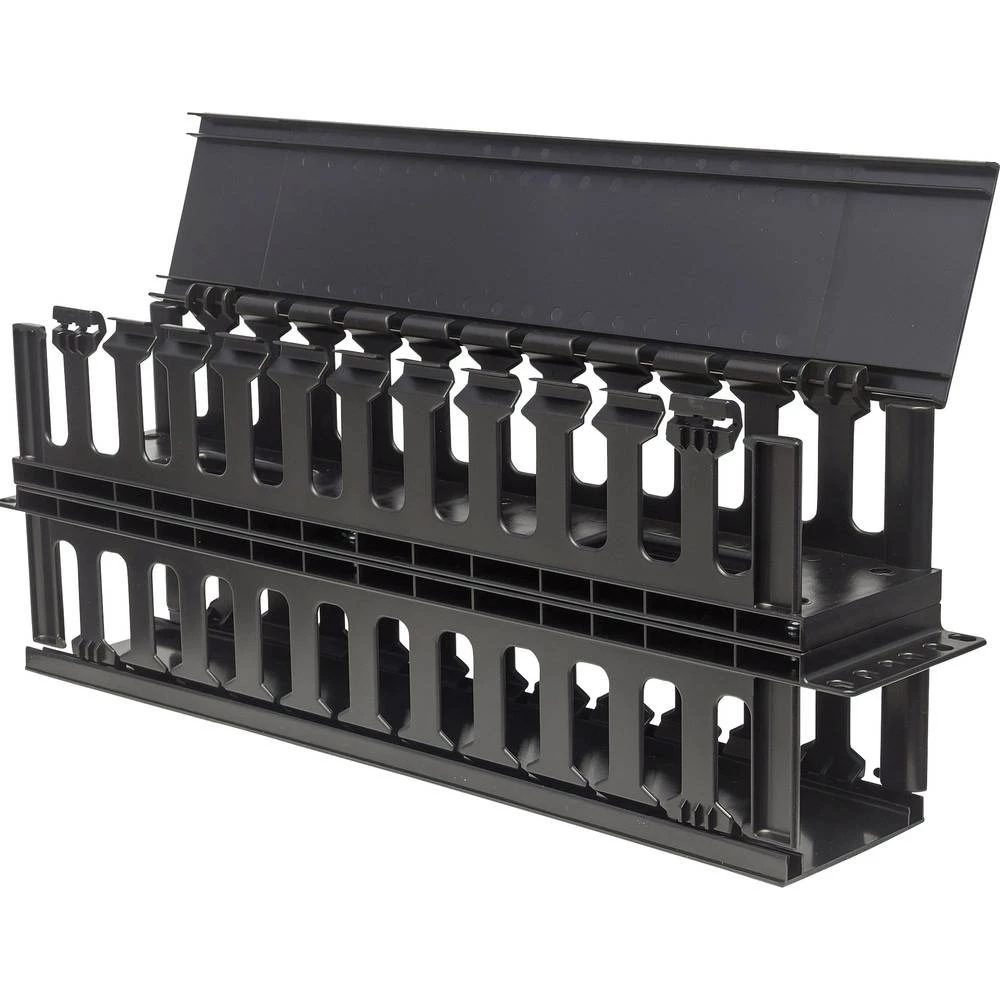 19 " Provodnik kablova za mrežni ormar 2 U Intellinet 714662 Prikladno za dubinu ormara: od 450 mm Crna (RAL 9005) slika