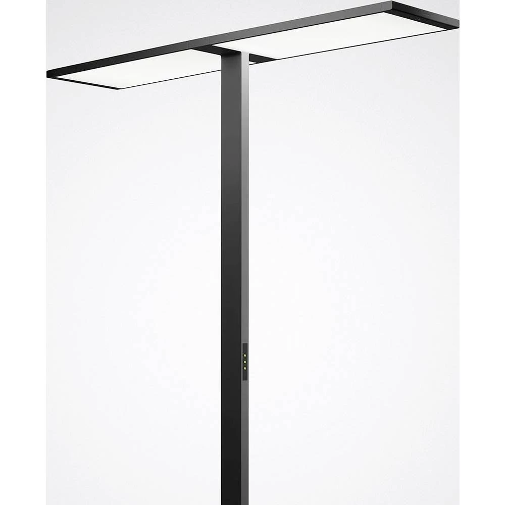 Trilux LuceoS S-T  #7701951 7701951 LED podna svjetiljka LED bez 236 W  siva slika