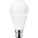 Müller Licht LED ATT.CALC.EEK A++ (A++ - E) B22d Klasičan oblik 12 W = 100 W Neutralna bijela (Ø x D) 65 mm x 134 mm 1 ST