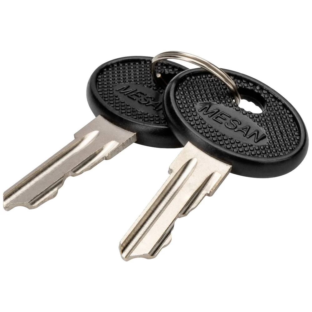 Digitus DN-19-KEY-4444 19 palac ključ mrežnog ormarića crna, srebrna slika