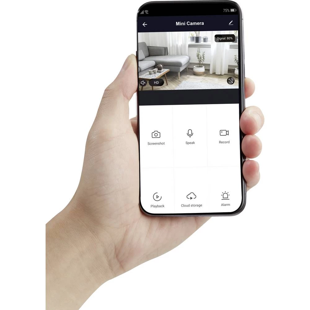 Conrad Product Image