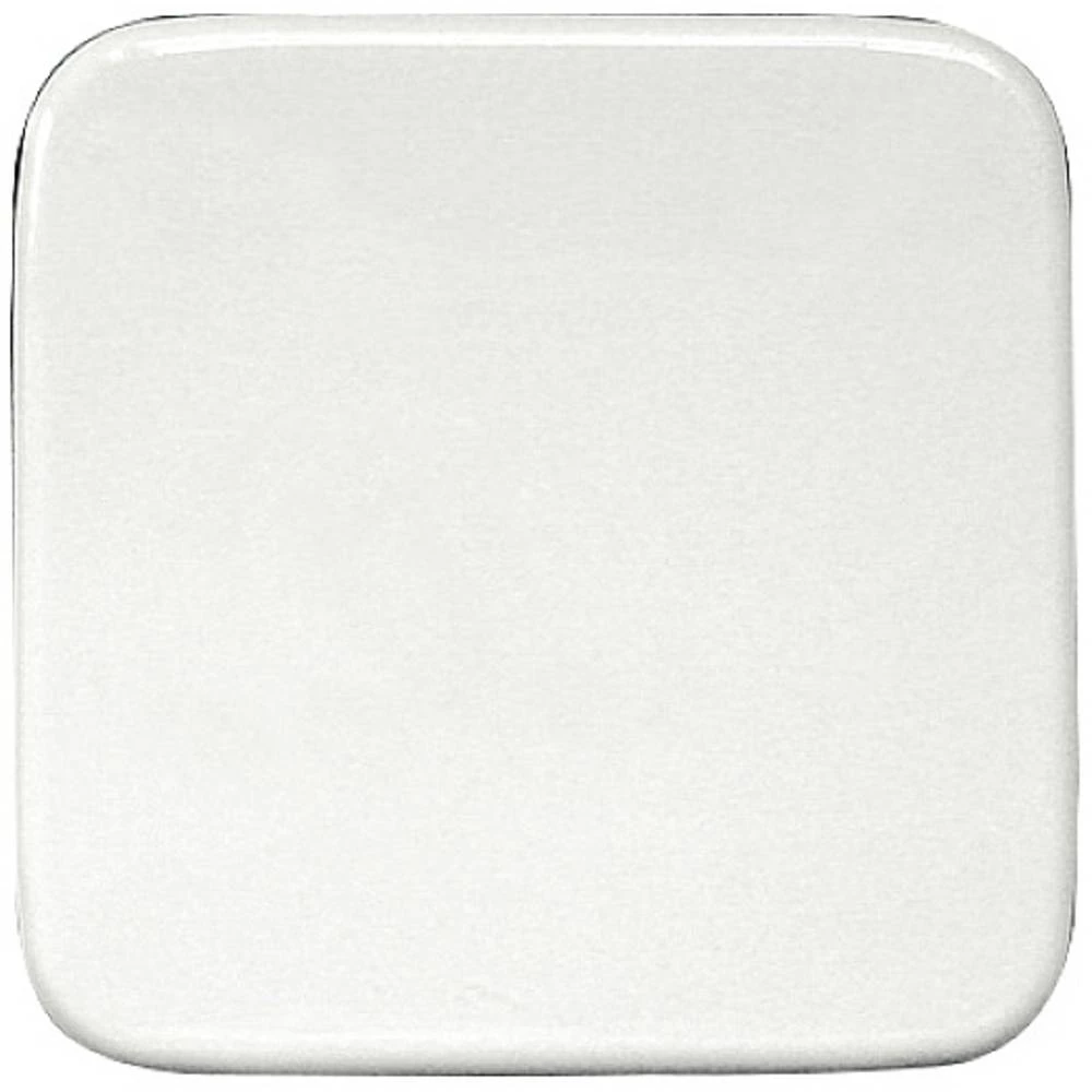 Laserski gravirana klackalica za bežičnu tipku 55x55 mm za Busch Reflex i Duro W-FT55R- Eltako radijski ozibne tipke slika