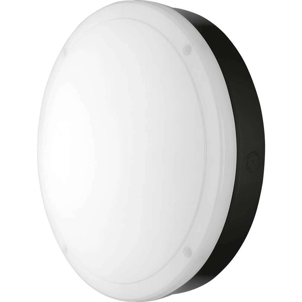 LEDVANCE Surface Bulkhead 82696 vanjska LED stropna svjetiljka, LED vanjsko zidno svjetlo slika