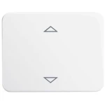 Busch-Jaeger 6430-24G-102 ulazni modul   ↑/↓ bijela, prometno-bijela 1 St.