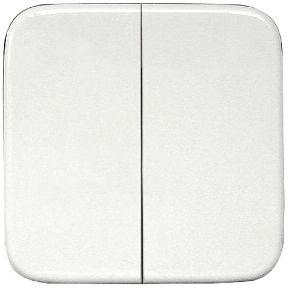 Dvostruki klackalica laserski gravirana za bežičnu tipku 55x55mm za Busch Reflex i Duro DW-FT55R- Eltako radijski dupli prekidač slika