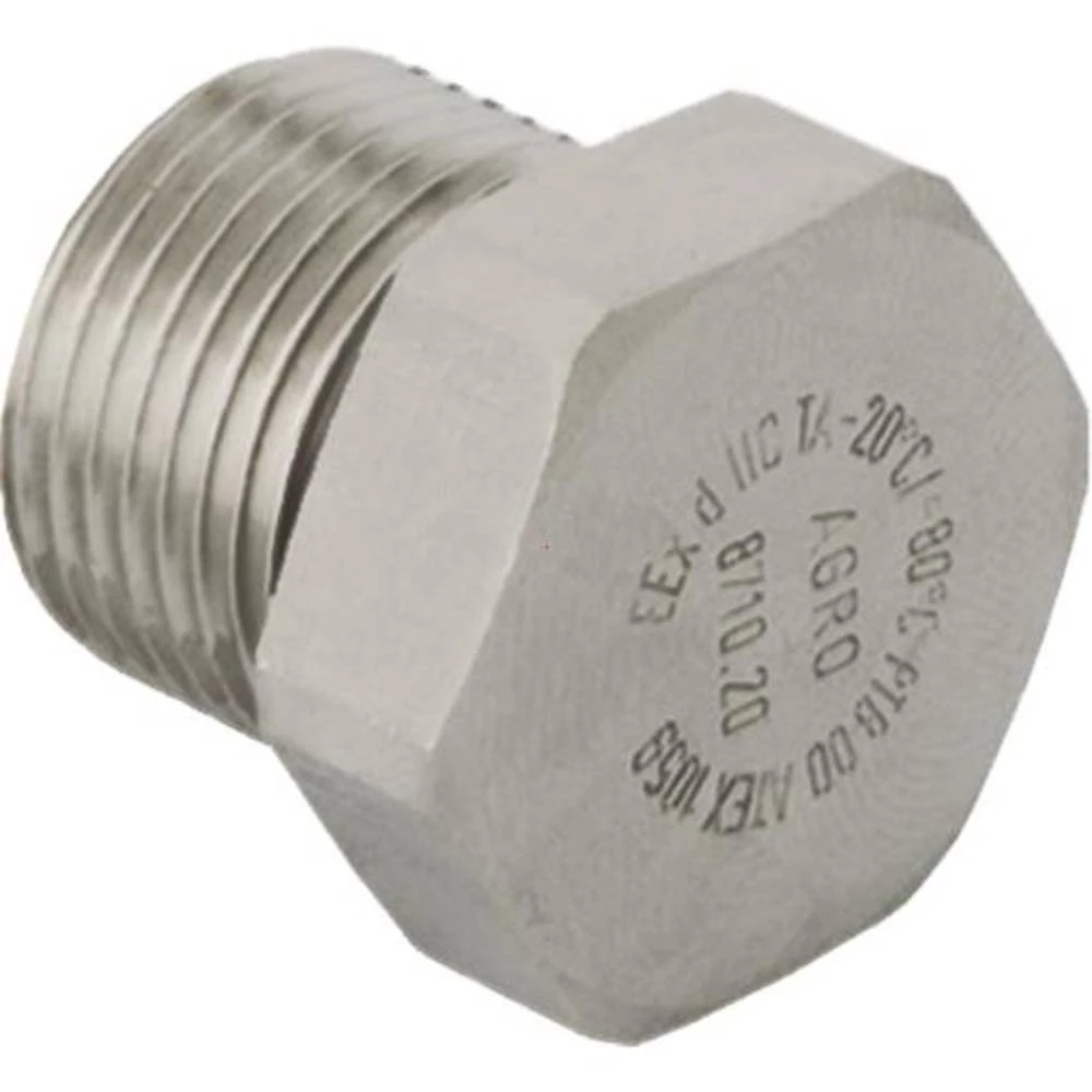 Kaiser Elektro 8710.20 slijepi vijak M20 metal 1 St. slika