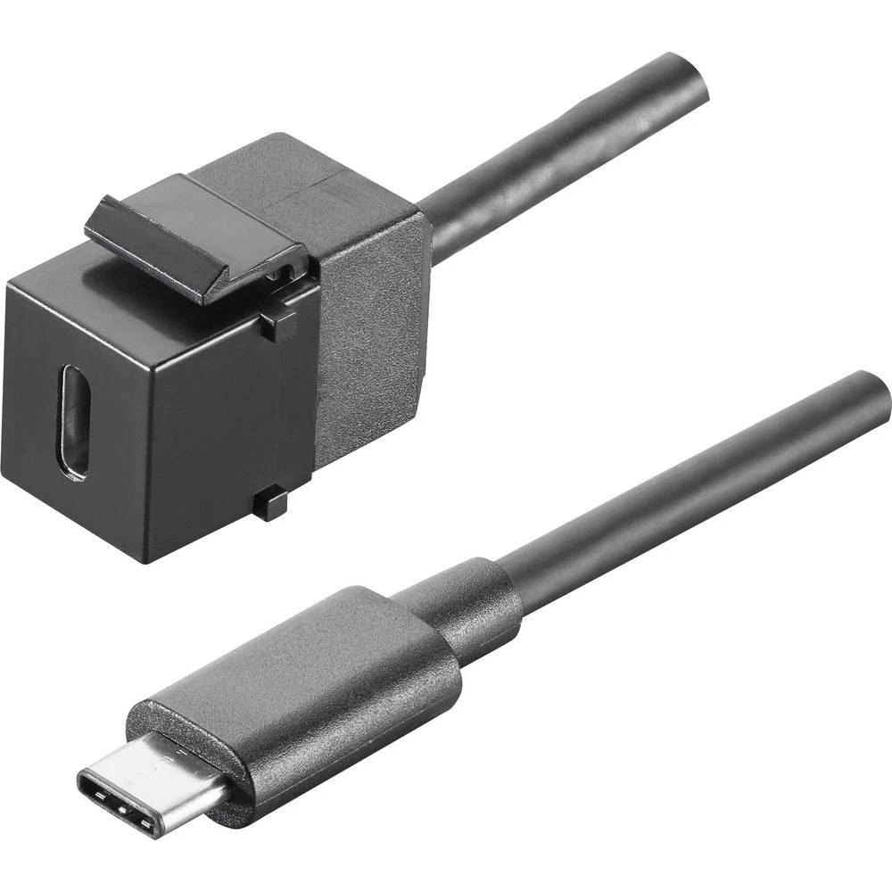 Bachmann USB 2.0 Priključni kabel 0.15 m Crna slika