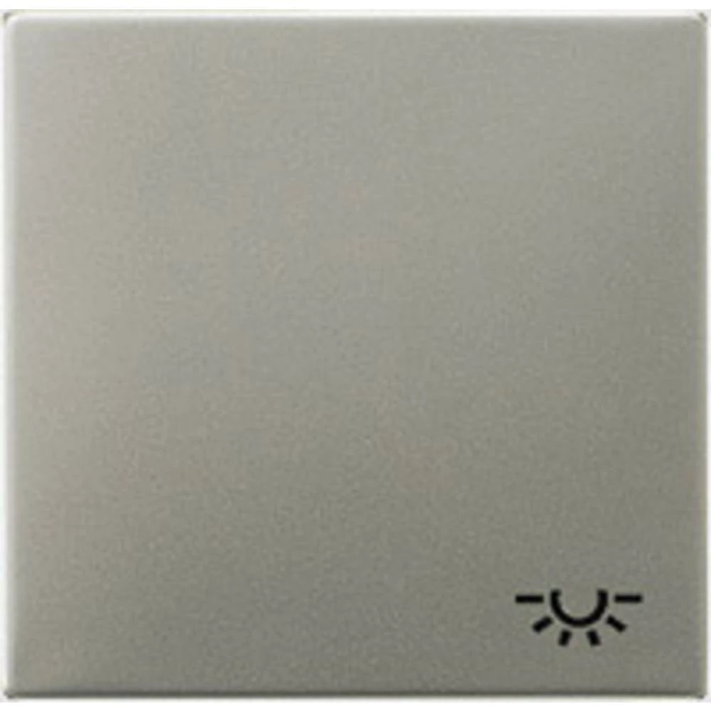 Jung 1-struki Umetak Tipkalo Aluminij boja AL2990L slika