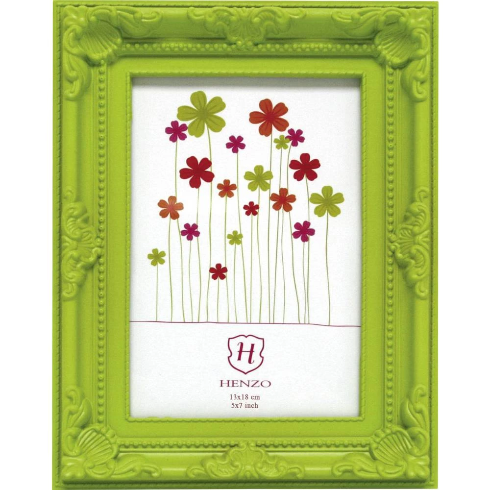 Henzo 80.362.21 izmjenjivi okvir za slike Format papira: 13 x 18 cm zelena slika