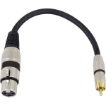 Omnitronic 3022075J XLR adapter cable [1x XLR utičnica 3-polna - 1x muški cinch konektor] 0.15 m crna