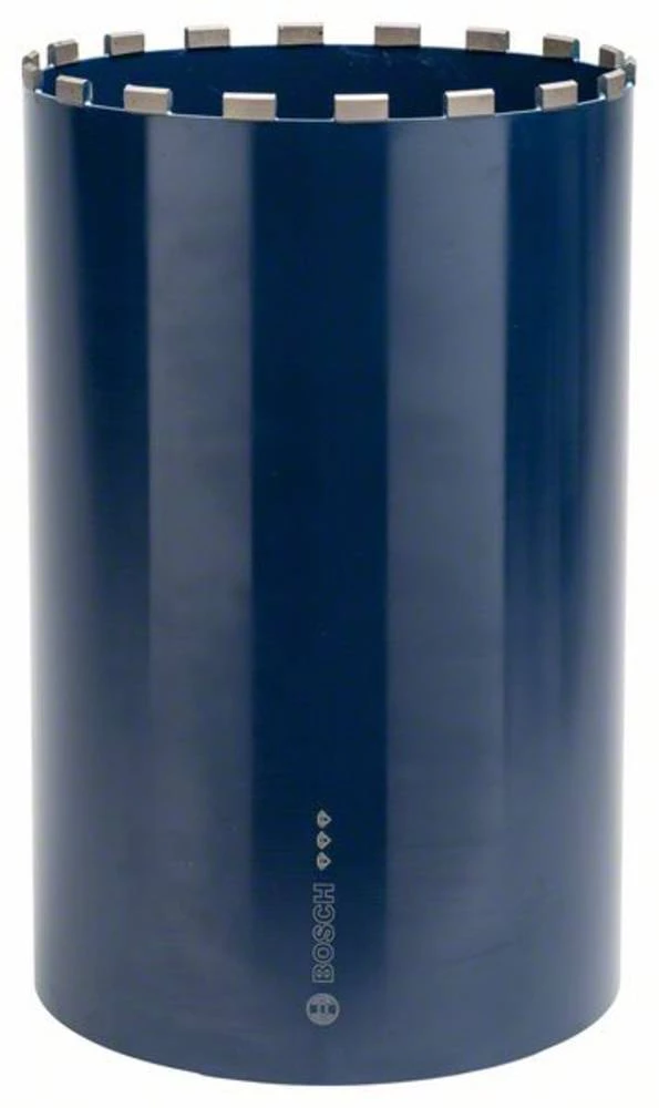 Vrsta svrdla 300 mm Bosch Accessories 2608601383 1 ST slika