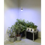 Venso svjetlo za biljke  136 mm 230 V E27 18 W  neutralna bijela reflektor  1 St.