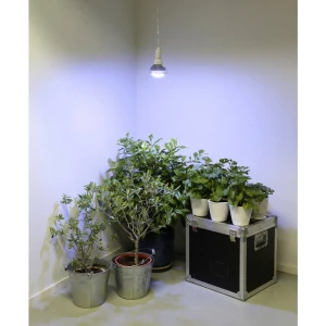 Venso svjetlo za biljke  136 mm 230 V E27 18 W  neutralna bijela reflektor  1 St. slika