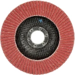 <br>  3M<br>  51482<br>  Cubitron™<br>  lamelna brusna ploča<br>  promjer 125 mm<br>  Promjer bušotine 22 mm<br>  <br>  10 St.<br>