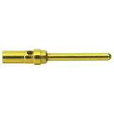 Muški kontakt Harting 09670005570 1 ST