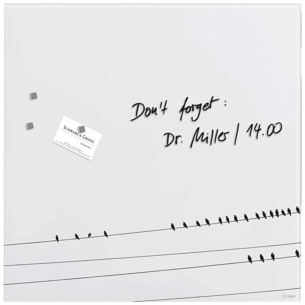 SIGEL Artverum magnetna staklena ploča - dizajn Little Birds - 48 x 48 cm - bijela - sigurnosno staklo (ESG) - TÜV testirano Sigel staklena magnetna ploča Artverum Little Birds (Š x V) 48 cm x 48 c... slika