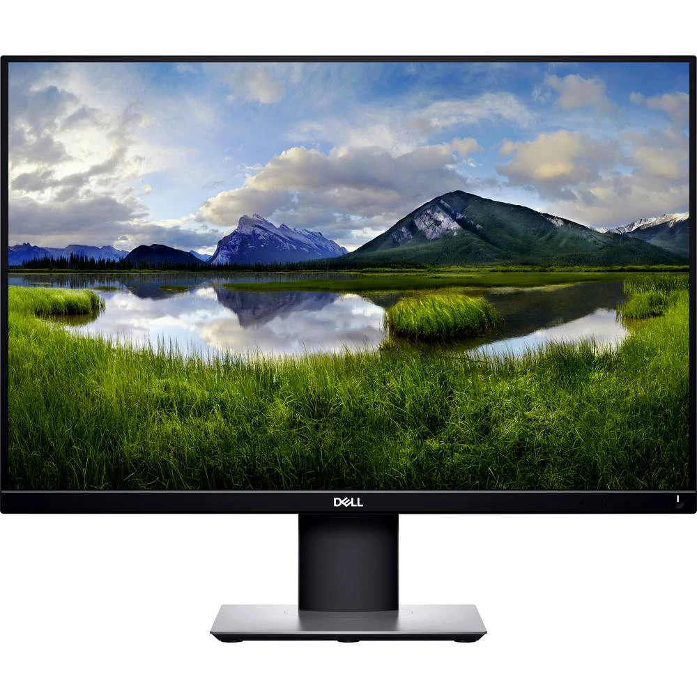 Dell P2421 led zaslon 61.2 cm (24.1 palac) Energetska učink. A+ (A+++ - D) 1920 x 1200 piksel WUXGA 8 ms displayport, HDMI slika