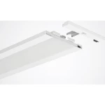 Trilux  7170000  glava  LuceoS D ZKS 01+LLWS  1 St.