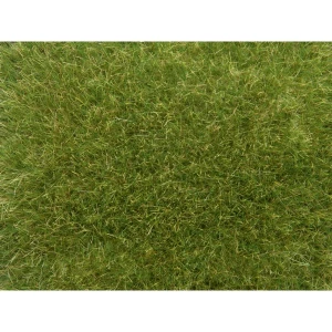 NOCH 07118 divlja trava  srednjezelena slika