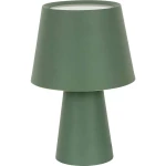 Lucci Harris 26960949 stolna svjetiljka E27 zelena