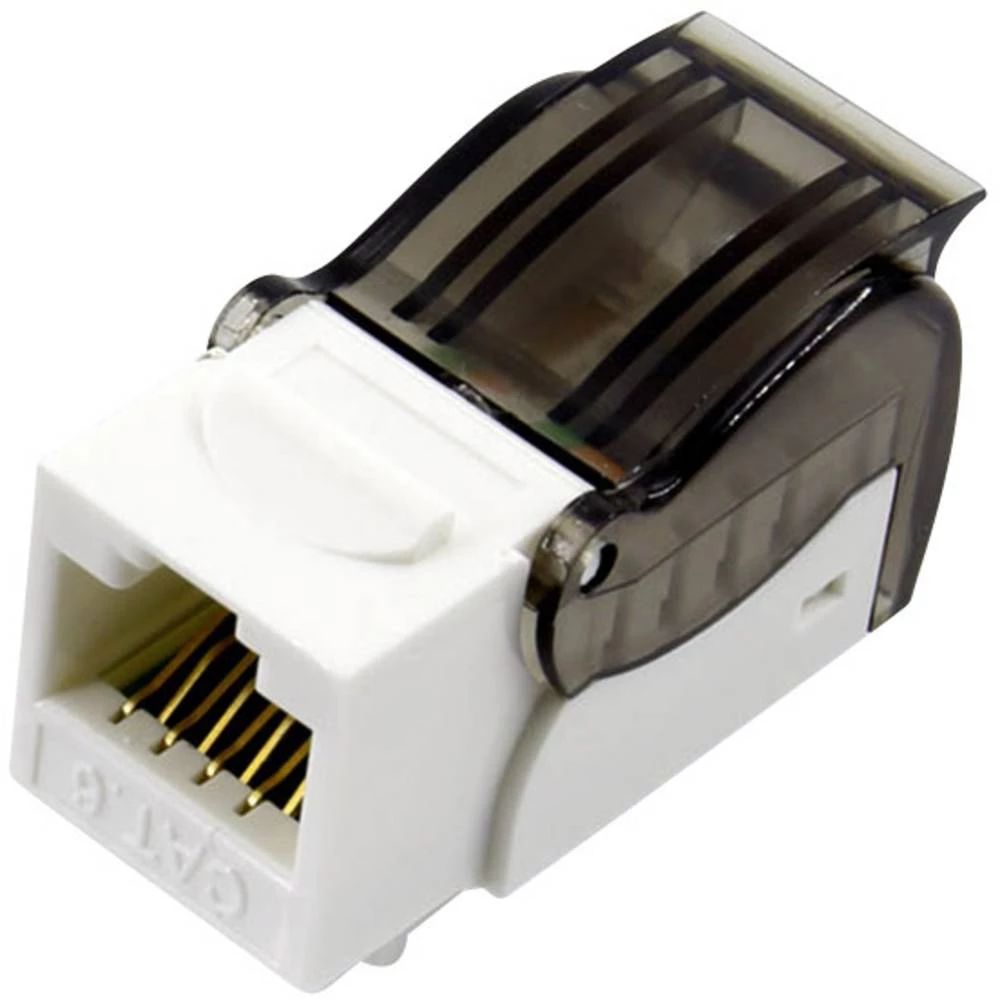 RJ45 spojka, CAT 6 Ravni ženski konektor Bijela/crna TRU COMPONENTS 1 ST slika