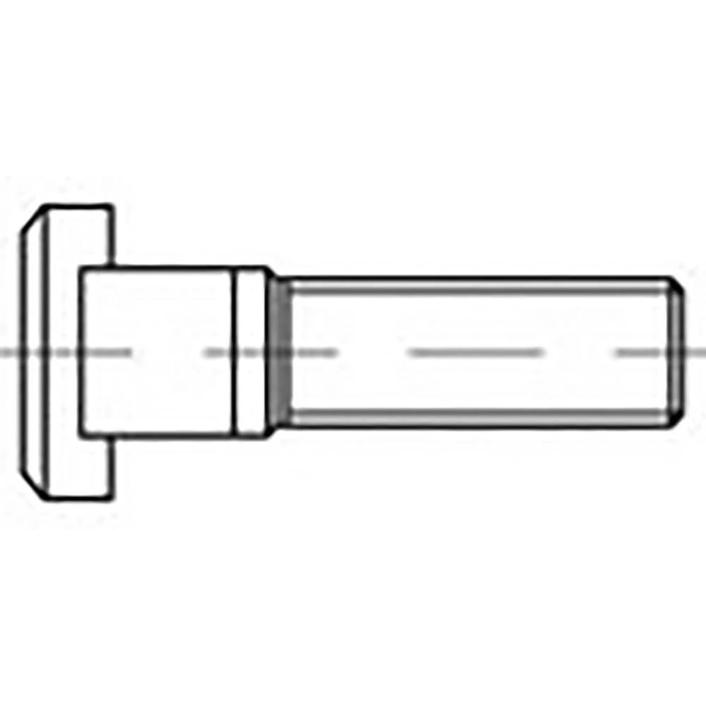 TOOLCRAFT  TO-6855786 vijci s t utorom M24 100 mm  DIN 787   čelik  5 St. slika