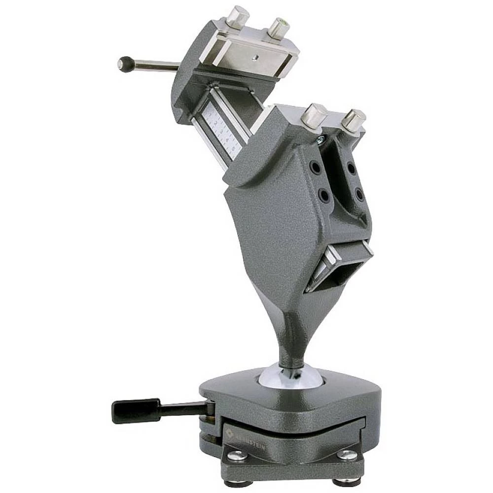 Bernstein Tools škripac Širina čeljusti: 100 mm Raspon (maks.): 100 mm slika