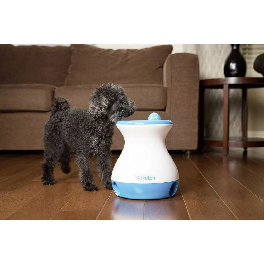 Bacač teniske loptice iFetch Frenzy Bijelo-plava 1 ST slika