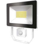 Vanjski LED reflektor LED 10 W ESYLUX AFLBASICLED10W 3K WH Bijela